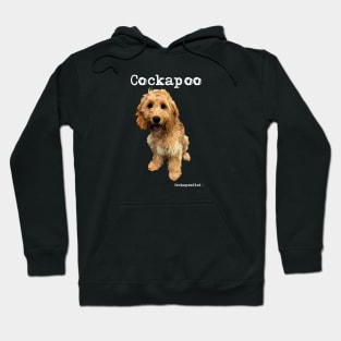 Golden Apricot Cockapoo / Spoodle and Doodle Dog Hoodie